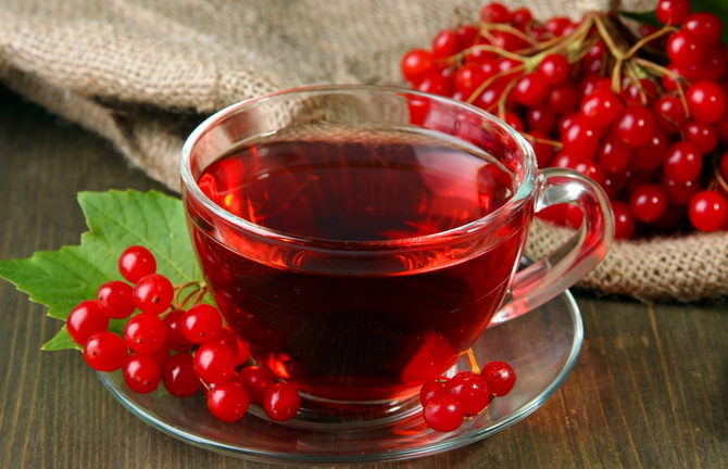 Чай из калины с медом