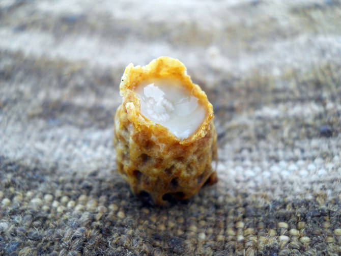 kak-hranit-matochnoe-molochko
