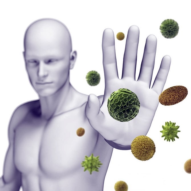 perga-dlya-immuniteta