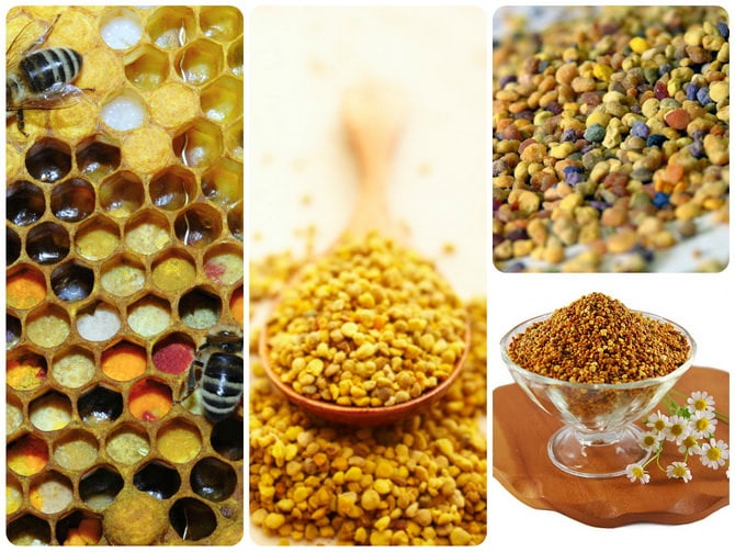 chem-perga-otlichaetsya-ot-pyltsy