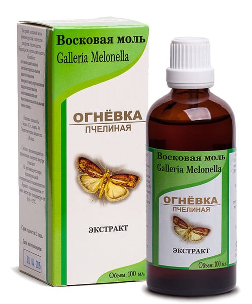 nastojka-pchelinoj-ognevki