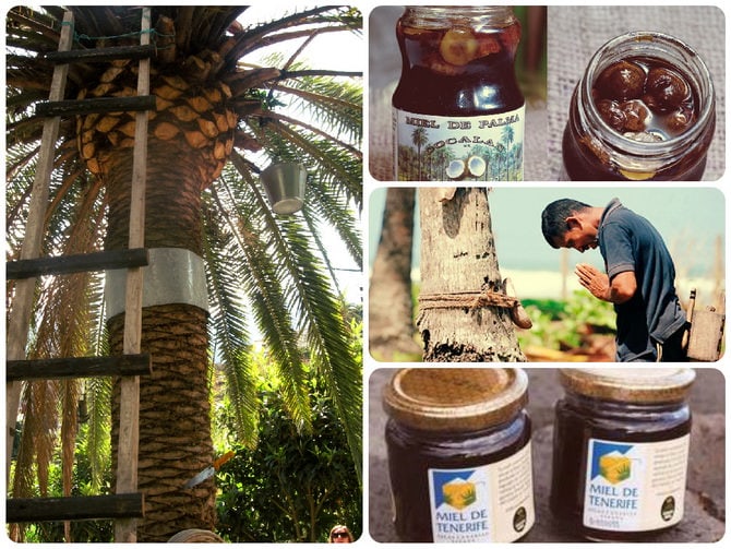 palmovyj-med-s-tenerife