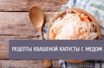 Рецепты квашеной капусты с медом