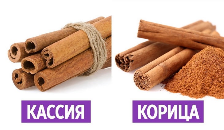 Кассия и корица