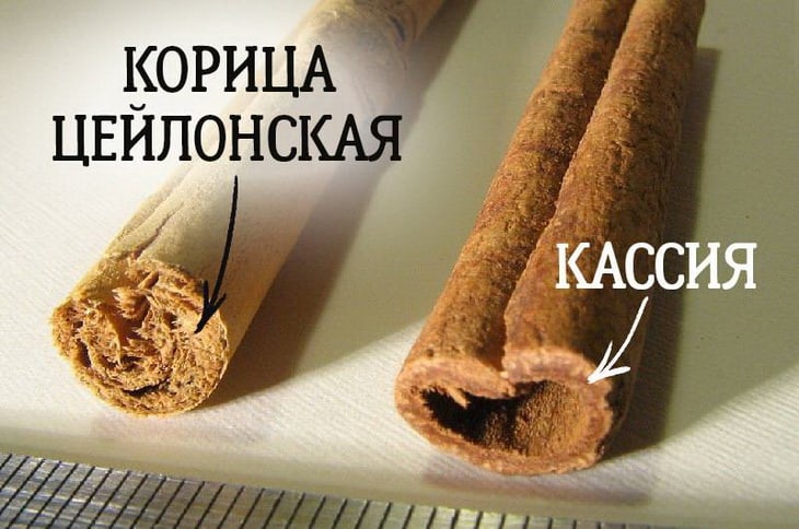 Корица и кассия